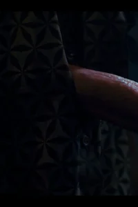 Vixi Rafi's new futa cock